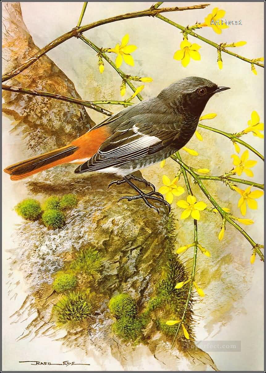 oiseau et arbre floral Peintures à l'huile